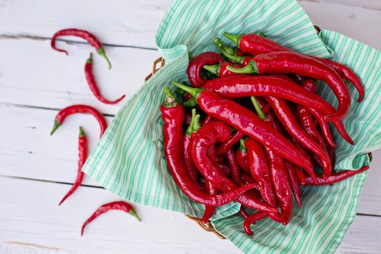 Peperoncino rosso fresco su sfondo bianco, simbolo di benefici e controindicazioni per la salute.