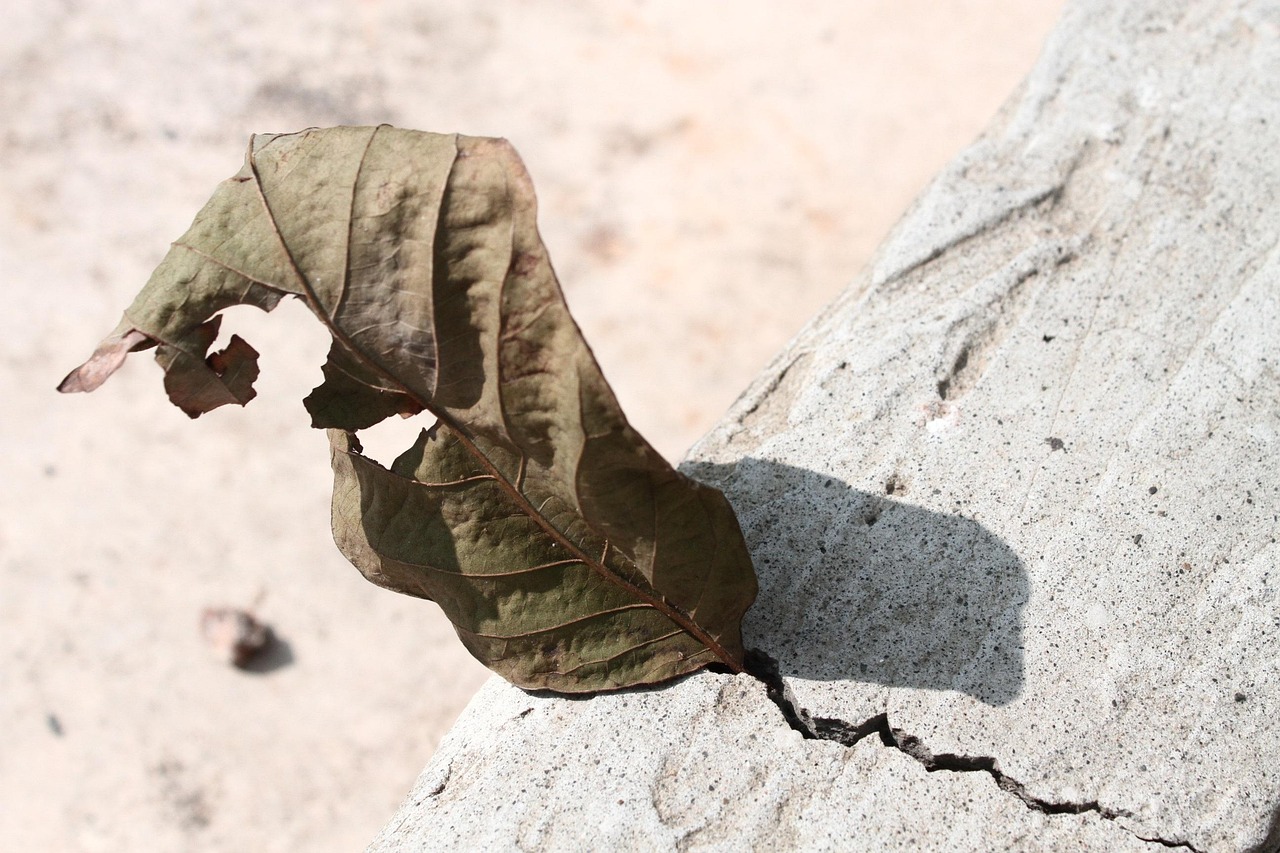 Integratori di magnesio su un tavolo con orologio per indicare il momento migliore per assorbirlo.
