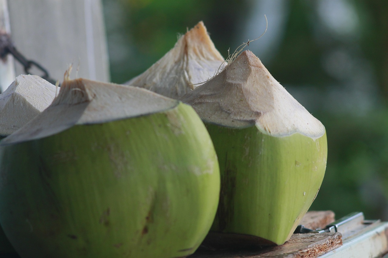 Coconut water in a glass, refreshing drink for post-summer hydration and natural supplementation.