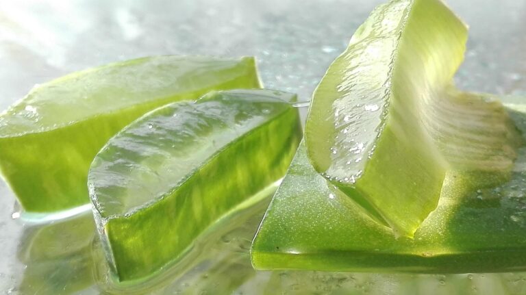 Gel di aloe vera bevibile in un bicchiere, ideale per alleviare la gastrite e promuovere la salute digestiva.
